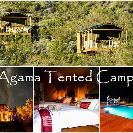 Agama Tented Camp Garies Exterior foto