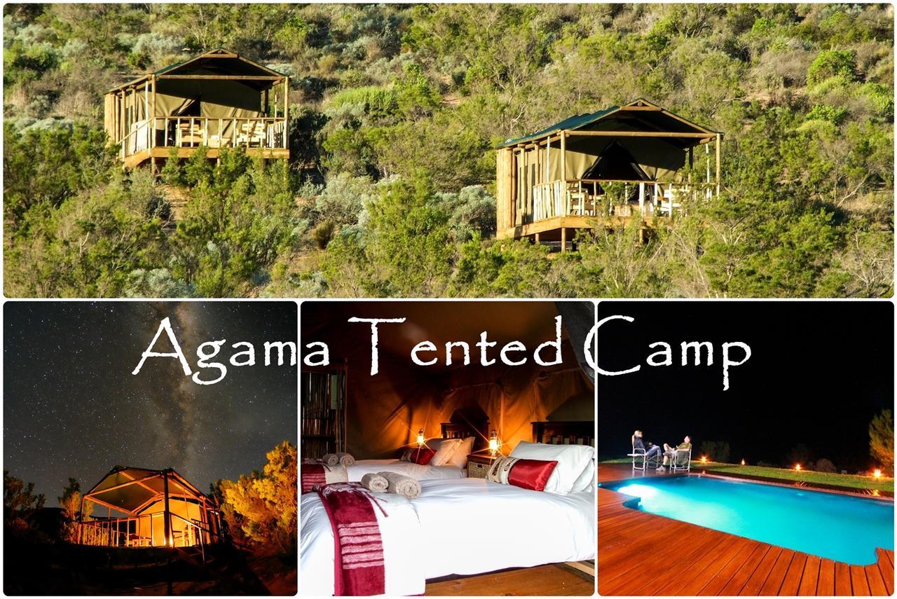Agama Tented Camp Garies Exterior foto